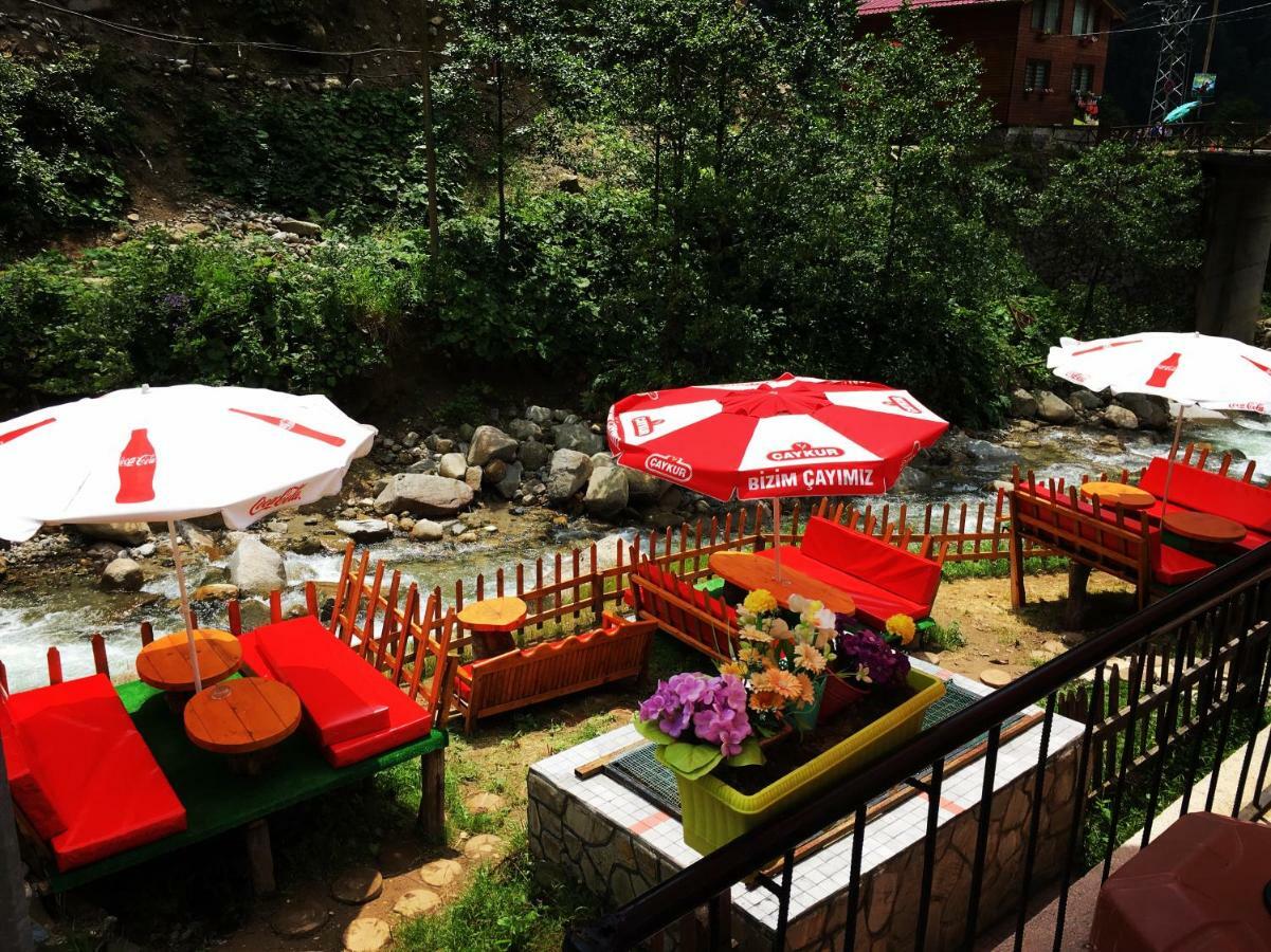 Otel Avusor